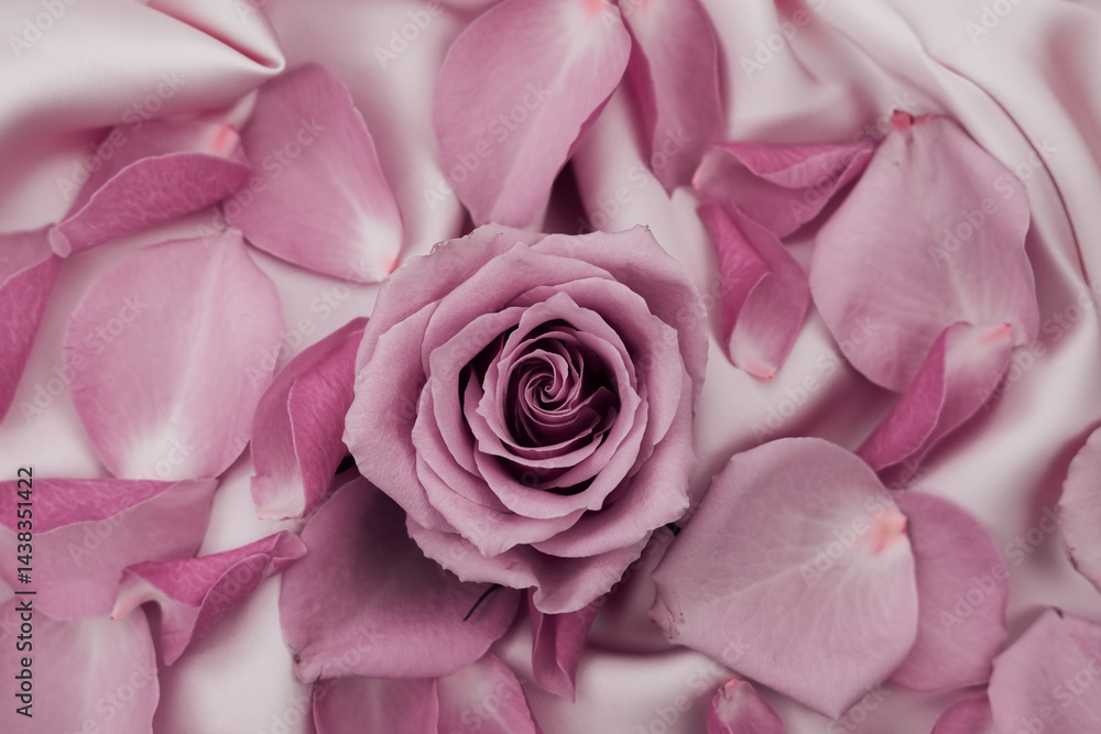 Fototapeta premium Delicate lavender rose surrounded by soft pink petals on satin fabric