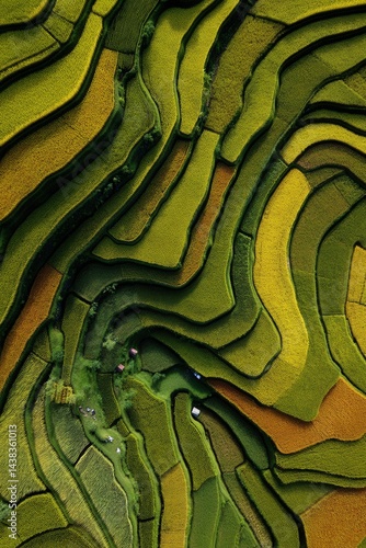 Aerial view of green and yellow terraced rice fields with intricate patterns. Perfect for showcasing the beauty of agriculture, nature, and rural landscapes in farming photography.