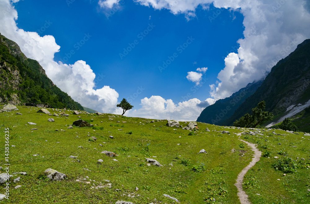 Fototapeta premium mountain landscape with clouds AND A TREE 