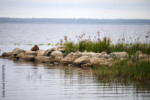 
A calm body of water with a rocky shore on the right side, where various plants grow.