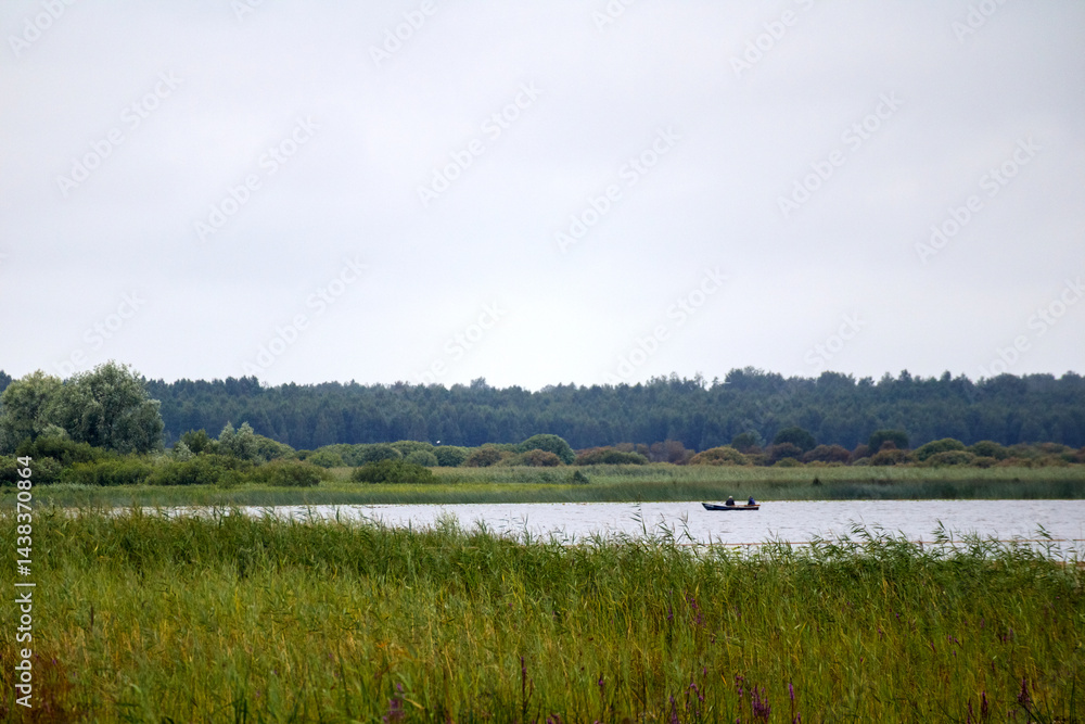 Fototapeta premium A peaceful landscape with a body of water with a small boat visible in the distance. Tall grass and reeds are in the foreground, while a green forest stretches out beyond the water under a light, clo