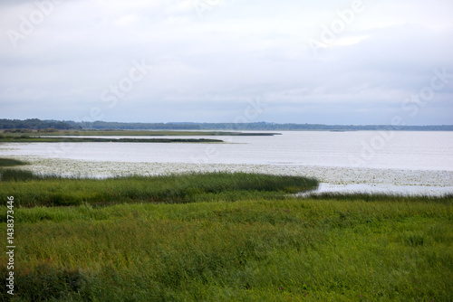 Obraz na płótnie
a large body of water with a grassy shore, where reeds and other aquatic plants grow, under a cloudy sky. w salonie