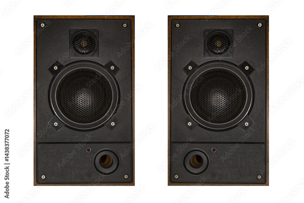 Naklejka premium Two acoustic speakers for the audio stereo system.