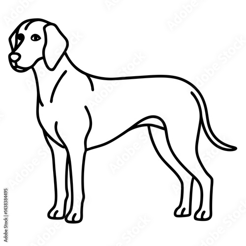 Minimal Bavarian Mountain Hound Vector on White