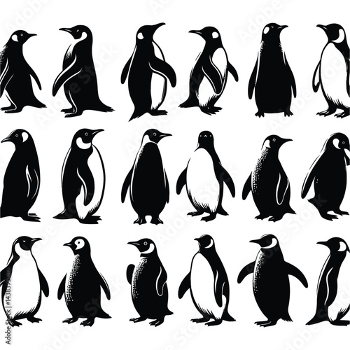 penguin silhouettes vector
