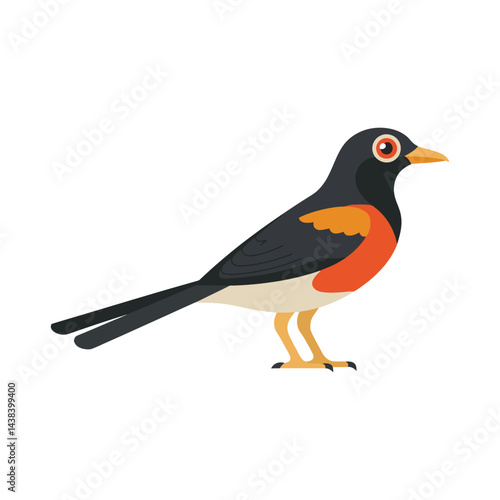 A beautiful oriole bird vector art piece