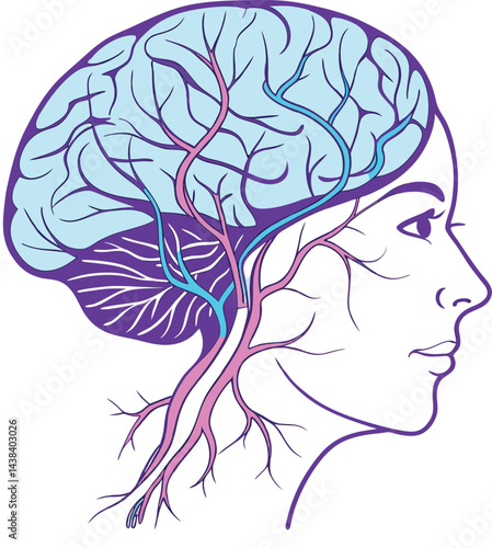 Neural Network Brain Illustration