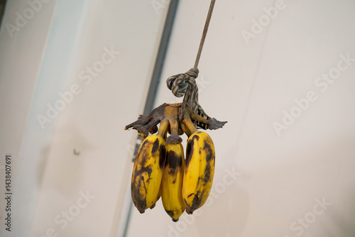 A bunch of ripe bananas hanging from a tied string