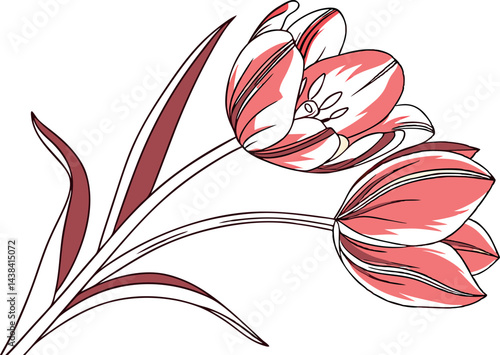 Elegant Tulip Flower Design