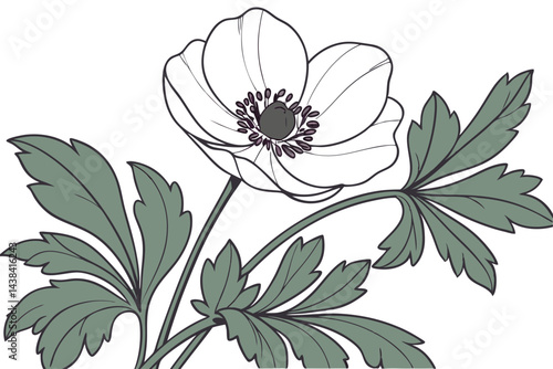 Elegant Anemone Floral Artwork