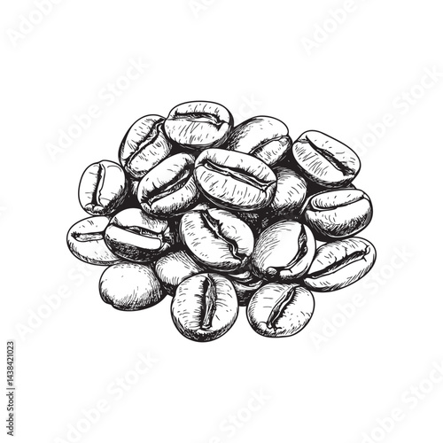 coffee beans vector illustrations - hand drawn coffee beans - black and white coffee beans isolated on white background