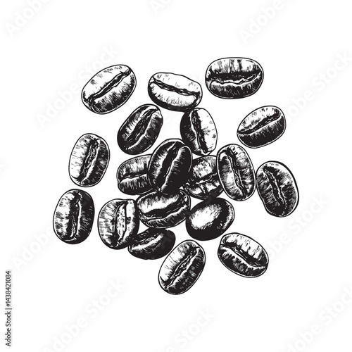 coffee beans vector illustrations - hand drawn coffee beans - black and white coffee beans isolated on white background