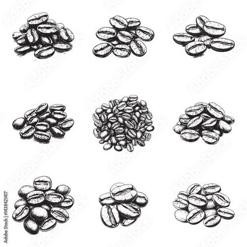 Set of coffee beans vector illustrations - hand drawn coffee beans - black and white coffee beans isolated on white background