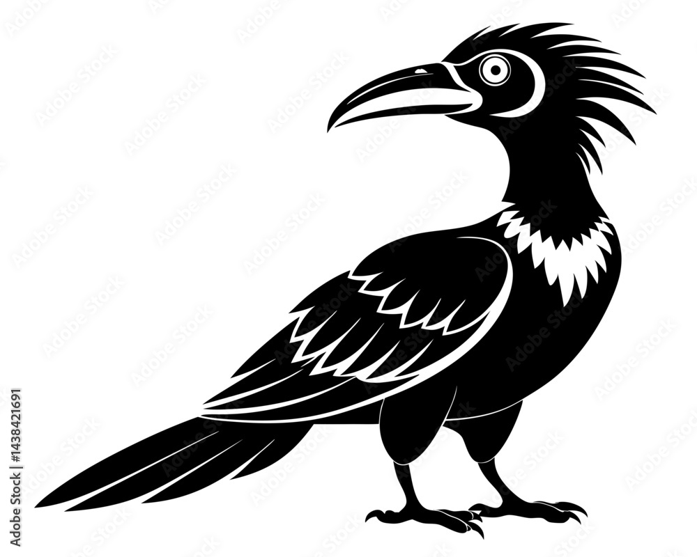Fototapeta premium Malabar Grey Hornbill Vector Illustration | Tropical Bird Silhouette SVG