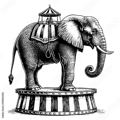 Elephant standing on circus stage engraving black and white outline. Scratch board imitation. illustrated in vintage line art style on a white background.