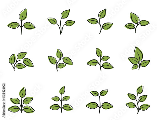 Plant with green leaves set. Nature and planting design elements. Isolated vector images