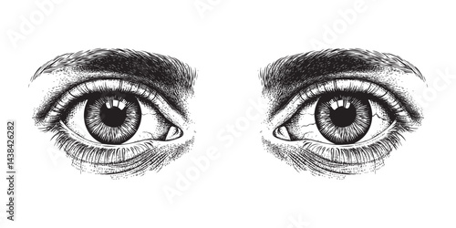 human eyes vector design isolated on white background