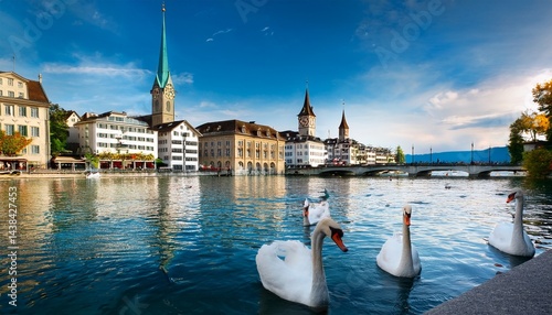zurich city center with swans on limmat river switzerland
