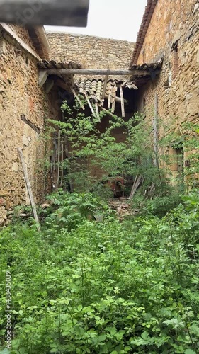 Abandoned house where nature took control 