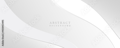Abstract minimalist white and gray curve modern background. texture white pattern. Vector Eps10