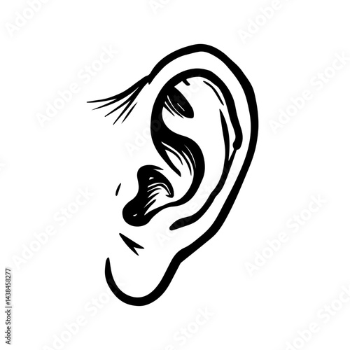 Ear sketch, black and white, for medical publications