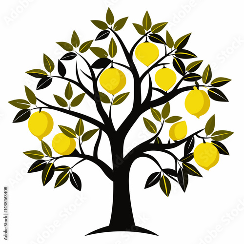  Lemon tree with fruit silhouette with white background