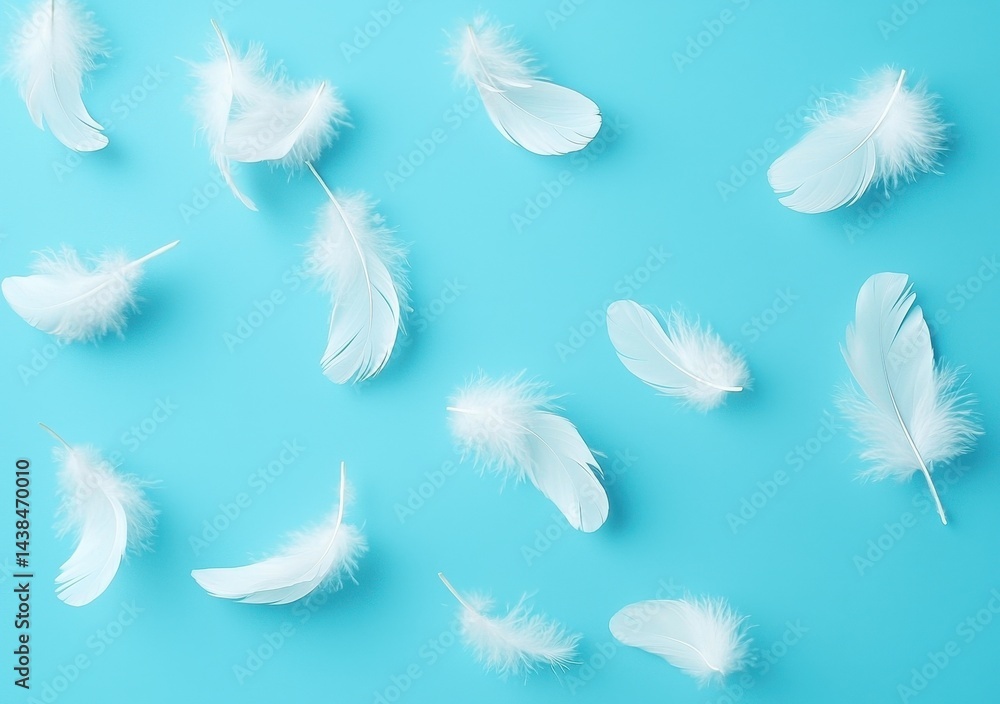 Soft White Feathers on Bright Blue Background for Creative Projects