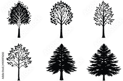 A vector set features black silhouettes of various trees, including pine and palm, showcasing their branches and leaf outlines against a natural backdrop