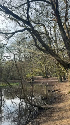 Wallpaper Mural Hampstead heath pond, london
 Torontodigital.ca