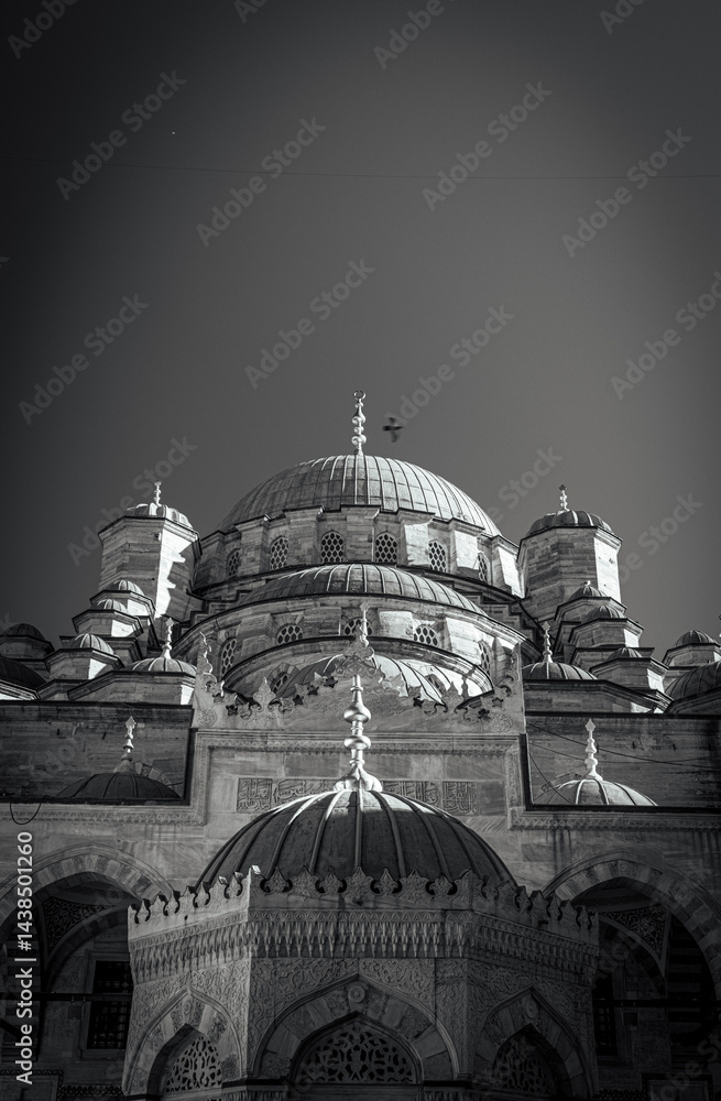 Fototapeta premium The majestic Yeni Camii (New Mosque) in black and white, a significant landmark of Ottoman architecture with the mosque's impressive array of domes, from the large central one to the smallest.