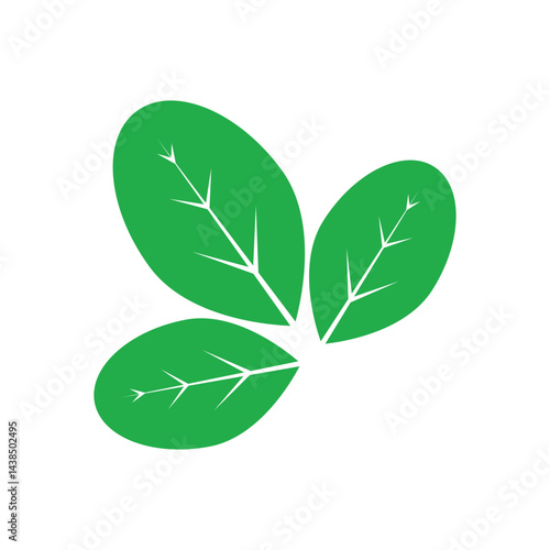 moringa leaves icon vector illustration template design