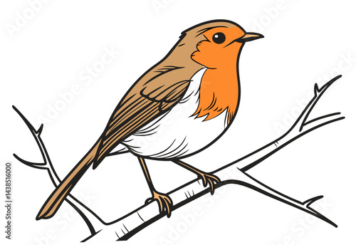 robin on a branch