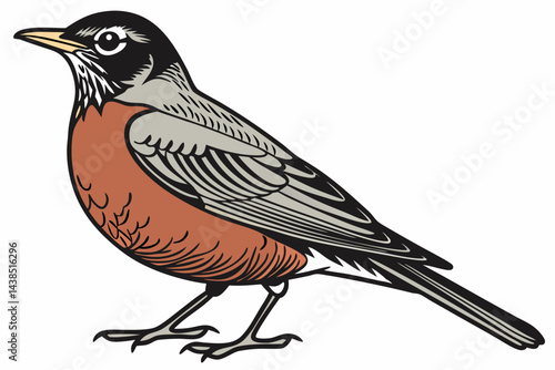 robin on a branch