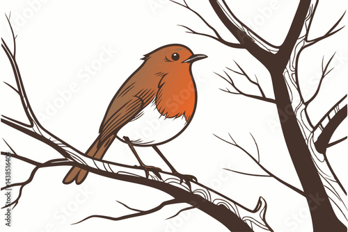 robin on a branch