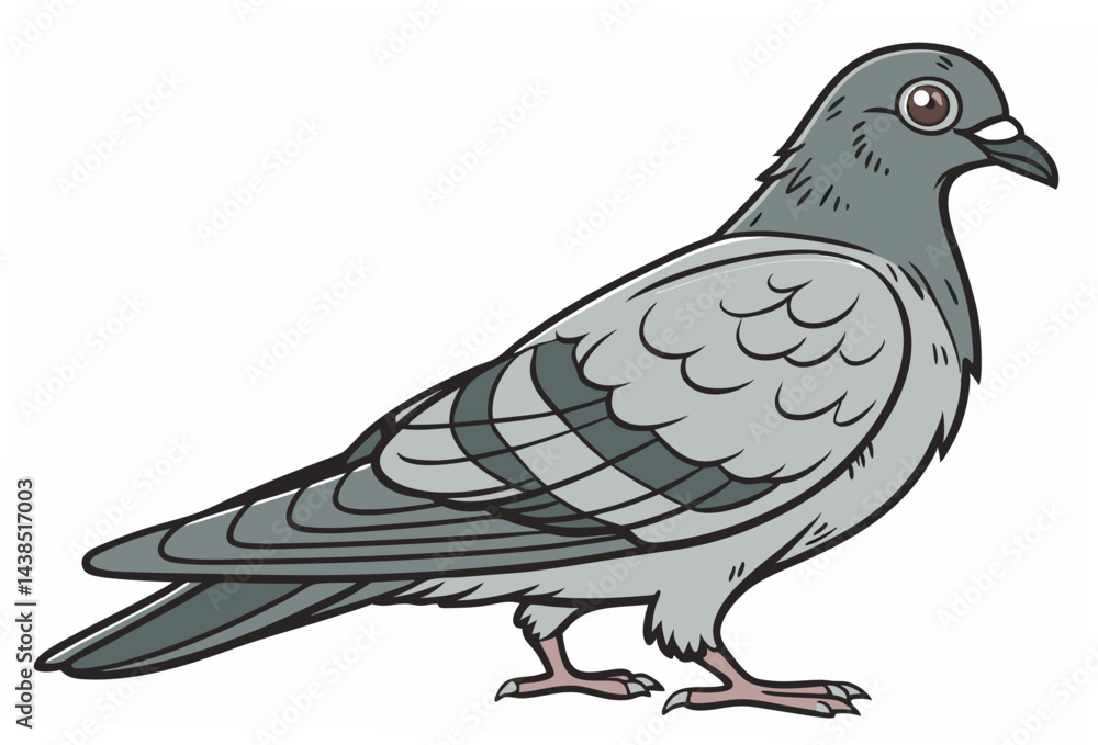 Fototapeta premium vector illustration of a pigeon