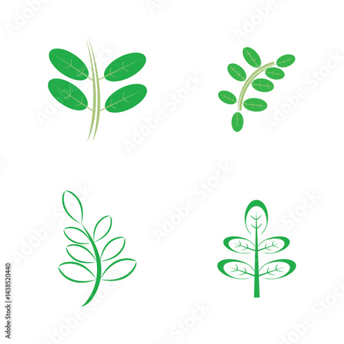 moringa leaves icon vector illustration template design