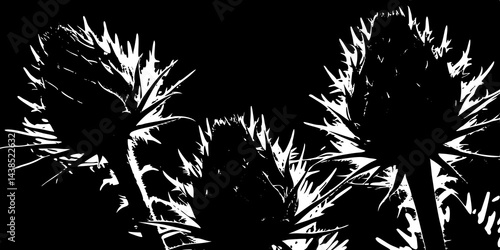 Abstract Black and White Stylized Thistle Plants