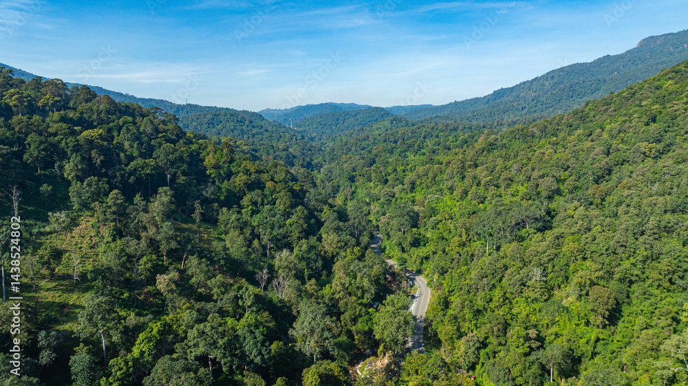 Obraz premium Remote Countryside Path in Northern Thailand. From above, a narrow mountain road meanders through a patchwork of deep green forest, farmland, and rolling hills. Sunlight spills across the slopes