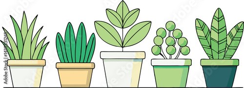 Collection of potted plants in various shapes and colors