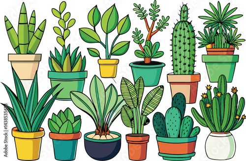 Collection of potted plants and cacti illustration