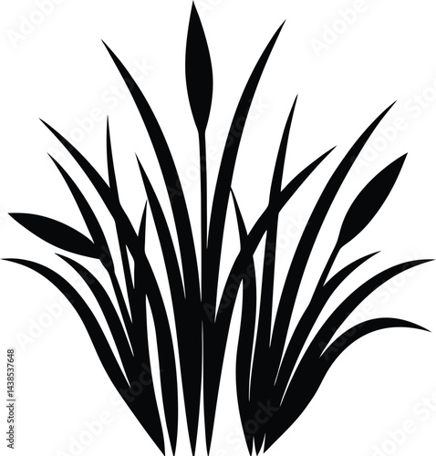 black and white botanical vector illustration of g.eps
