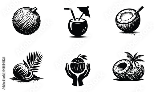 Hand-Drawn Coconut Fruit Illustrations – Black and White Tropical Art