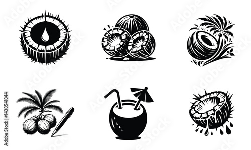 Hand-Drawn Coconut Fruit Illustrations – Black and White Tropical Art
