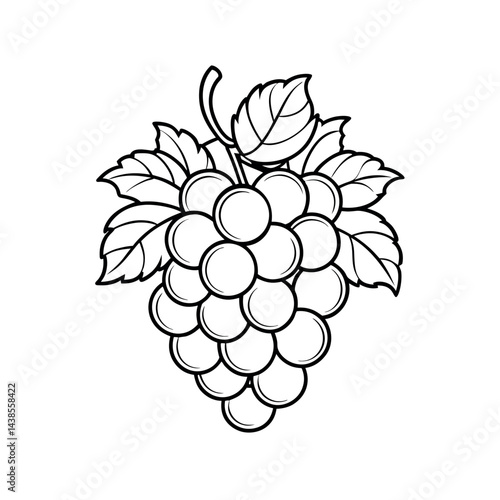 outline of a grapes line art vector