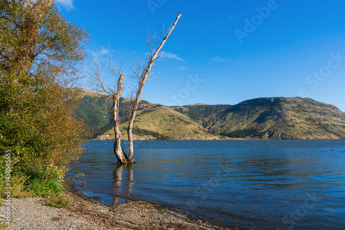 Obraz na płótnie An der Catons Bay am Lake Forsyth oder Lake Wairewa an der Straße von Christchurch nach Akaroa auf der Südinsel Neuseelands w salonie