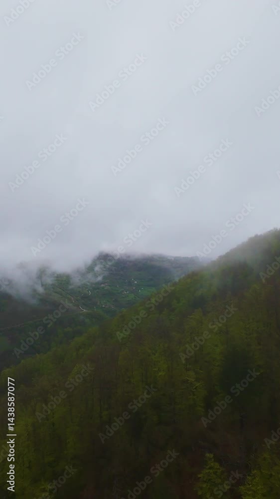 Vertical video Aerial view of misty green mountains covered with lush forest, fog drifting through hills under a cloudy sky, creating a beautiful natural landscape perfect for travel, adventure, and Vertical video Aerial view of misty green mountains covered with lush forest, fog drifting through hills under a cloudy sky, creating a beautiful natural landscape perfect for travel, adventure, and
