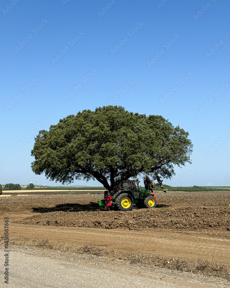 Obraz premium Tractor parked beside an olive tree in the rural countryside of Alentejo, Portugal, representing traditional agriculture and farming life.