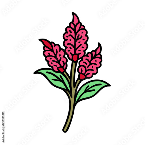 Illustration of pink flower botanical art floral design flower drawing plant nature garden bloom blossom