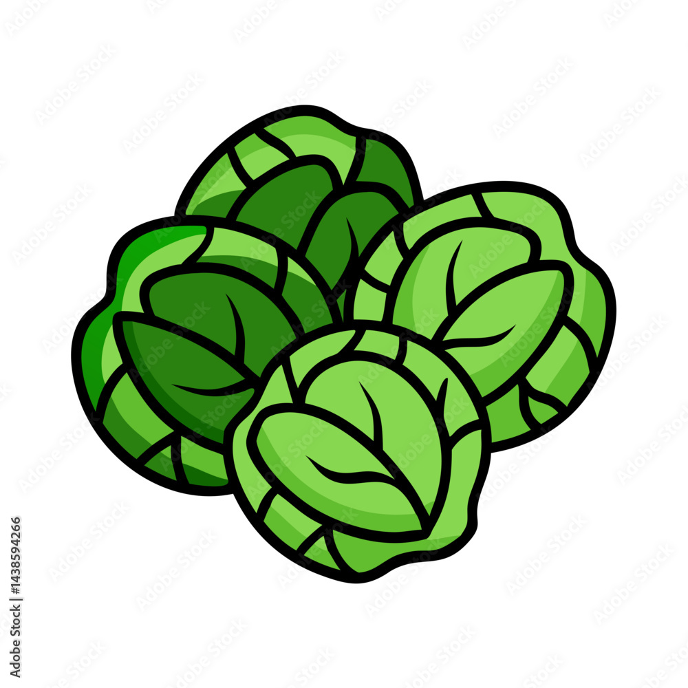 Obraz premium Fresh green brussel sprouts vector illustration healthy food nutrition vegetable grocery item drawing design