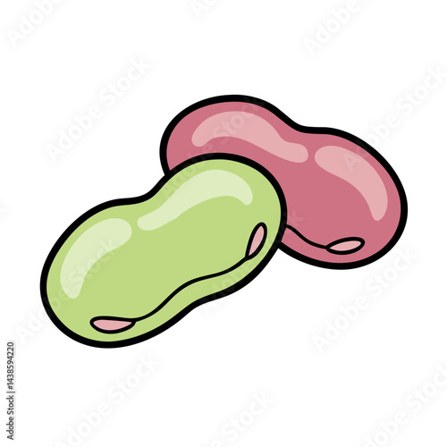 Isolated illustration of green and pink beans for cooking and healthy eating concepts